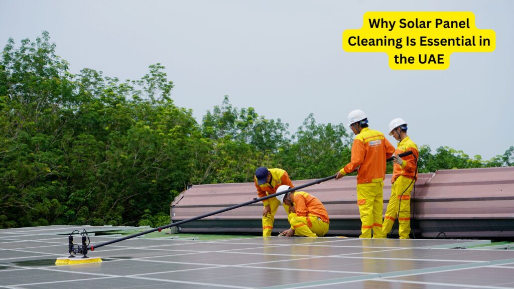 Solar Panel Cleaning