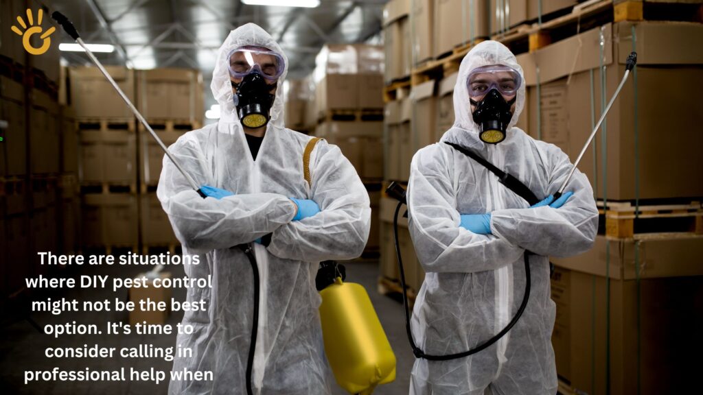 There are situations where DIY pest control might not be the best option.