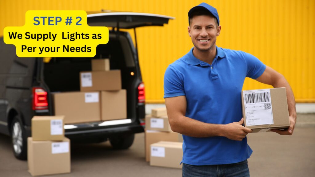 holiday lighting professionals